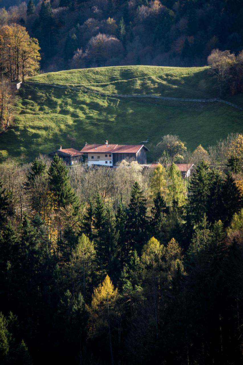 Muenchen- Pullach, Wohnen Im Gruenen Appartement Buitenkant foto